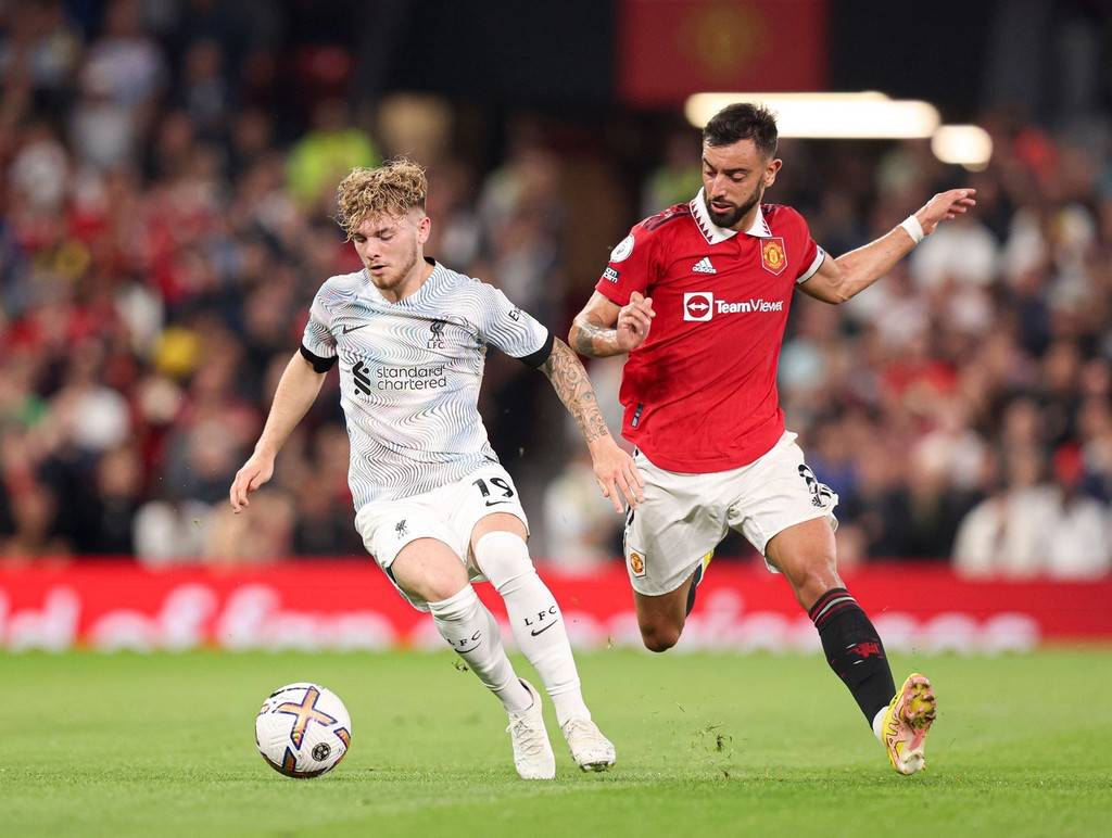 尼亚与塞尔 尼亚与塞尔