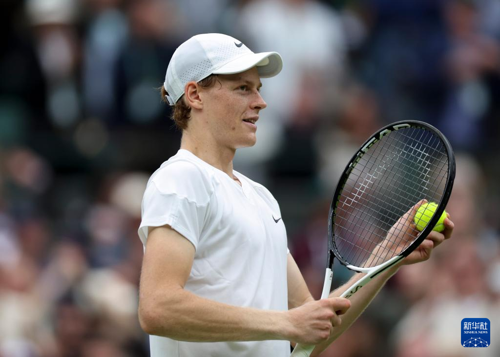 术多样性 术多样性